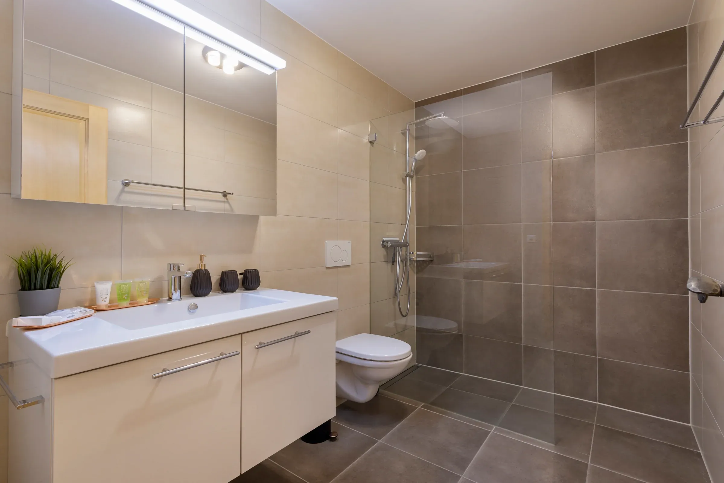Salle de bains avec douche